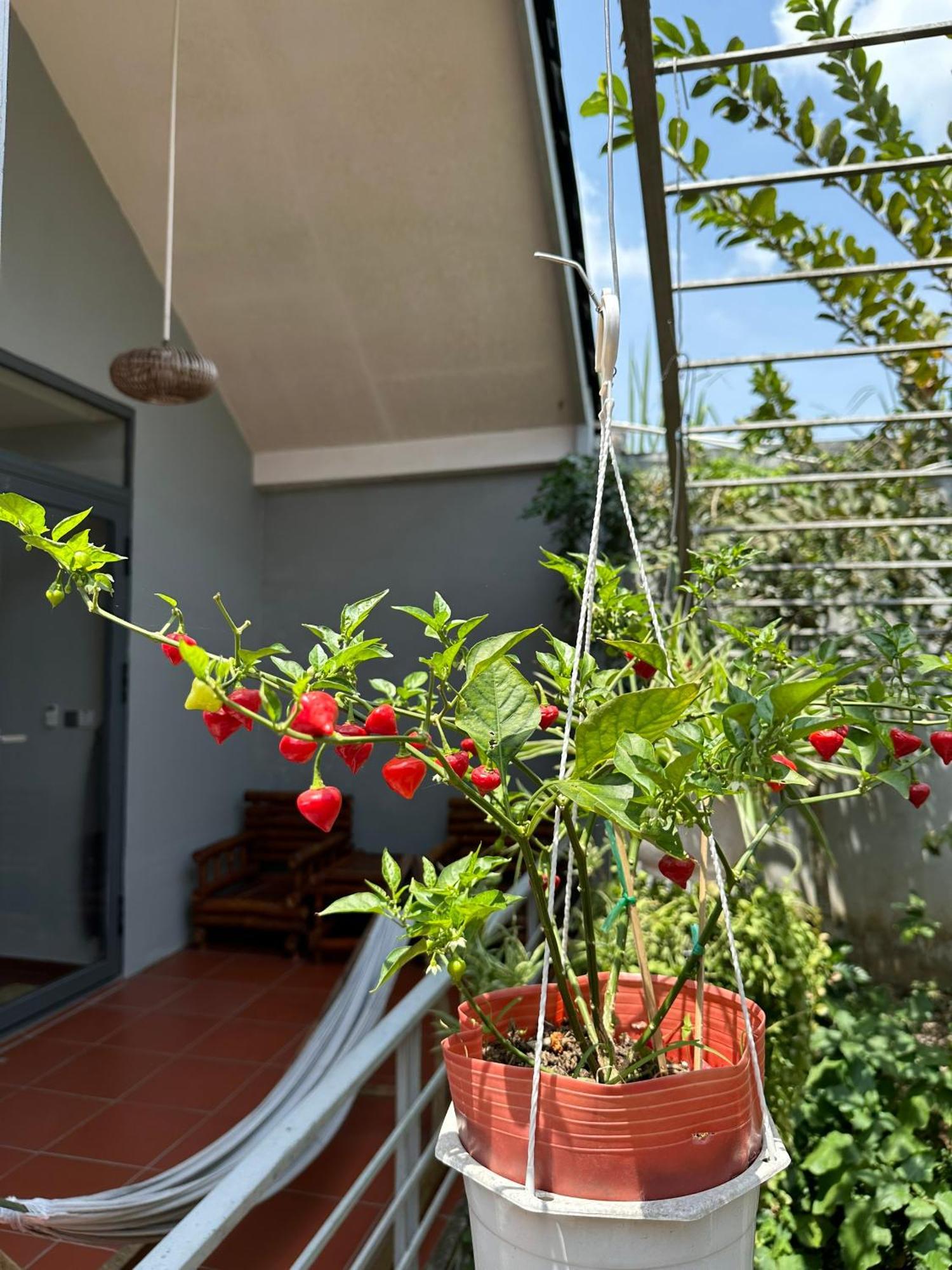 Cato Homestay Can Tho Exterior foto